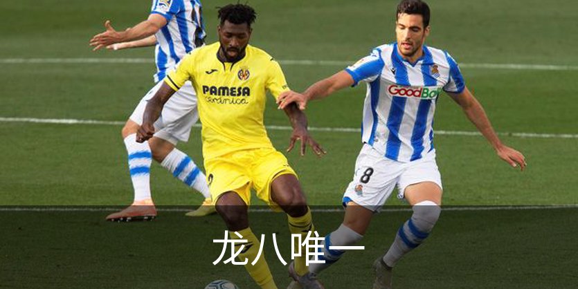 关于龙八唯一